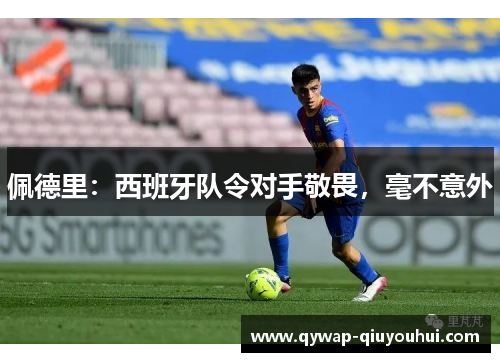 佩德里：西班牙队令对手敬畏，毫不意外