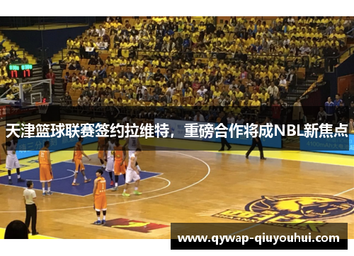 天津篮球联赛签约拉维特，重磅合作将成NBL新焦点